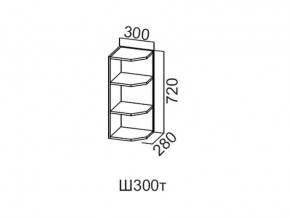 Ш300т/720 Шкаф навесной 300/720 (торцевой) в Южноуральске - yuzhnouralsk.magazin-mebel74.ru | фото