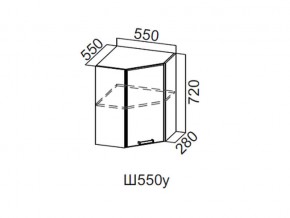 Ш550у/720 Шкаф навесной 550/720 (угловой) в Южноуральске - yuzhnouralsk.magazin-mebel74.ru | фото